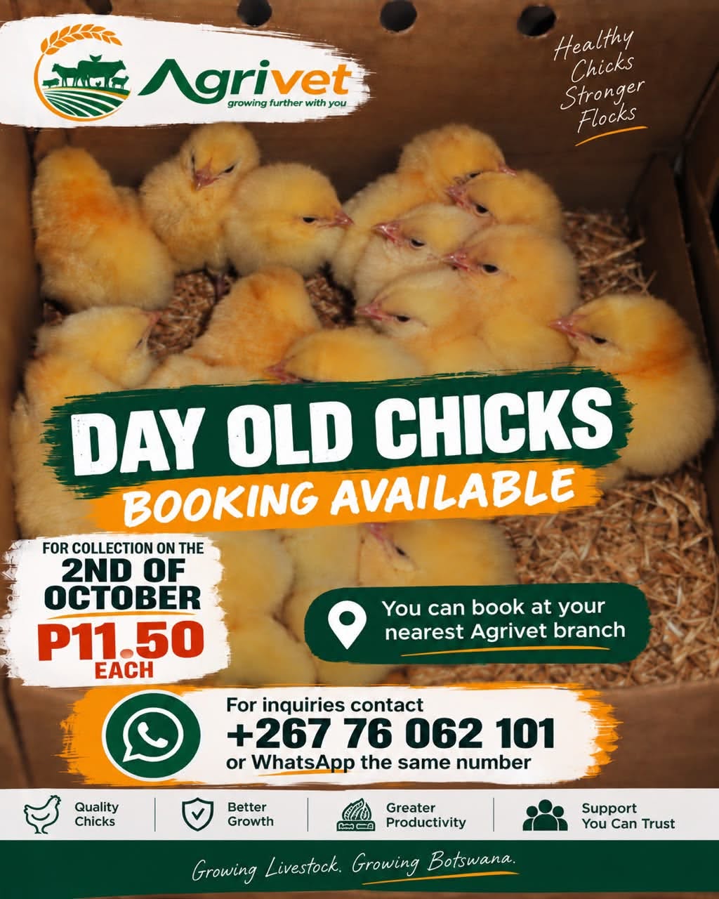 DAY-OLD CHICKS BOOKINGS NOW OPEN!